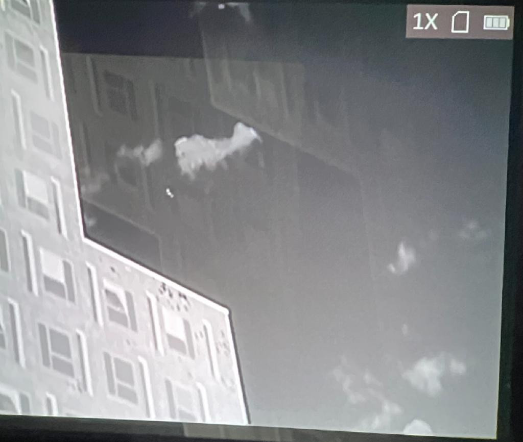 Nachtwerk (vleermuis op warmtebeeldcamera)